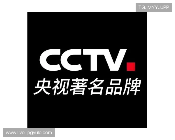 pa视讯官方集团的合作伙伴与品牌背书，增强用户信任感与品牌认知